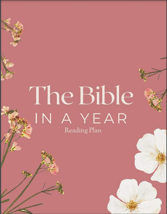 Bible In A Year Reading Plan - Monthly Summaries, Memory Verses, Key Bible Characters